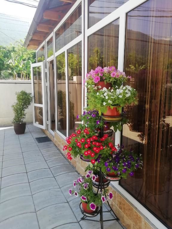 Гостевой дом Mini-hotel Yanson 2 Гагра